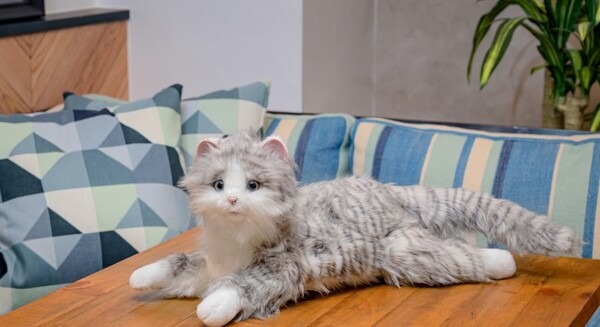 ねこ型ペットロボット「しっぽふりふり あまえんぼうねこちゃん」に新色アイスグレー登場、全3色に【特徴まとめ】デジレクト