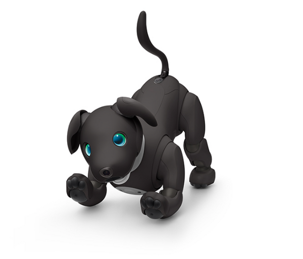 ソニー「aibo」の2023年カラーモデルは「エスプレッソ・ブラック」　歴代カラーのaibo達がダンスでお祝いする動画も公開