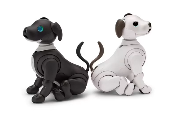 ソニー「aibo」の2023年カラーモデルは「エスプレッソ・ブラック」　歴代カラーのaibo達がダンスでお祝いする動画も公開