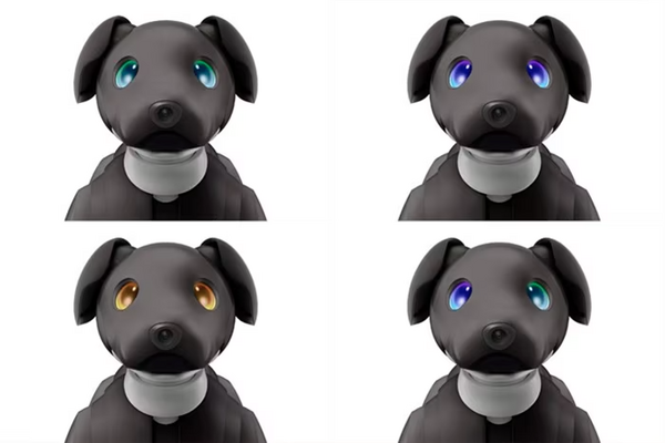 ソニー「aibo」の2023年カラーモデルは「エスプレッソ・ブラック」　歴代カラーのaibo達がダンスでお祝いする動画も公開