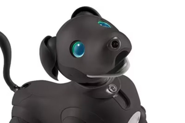 ソニー「aibo」の2023年カラーモデルは「エスプレッソ・ブラック」　歴代カラーのaibo達がダンスでお祝いする動画も公開