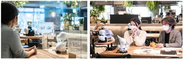 分身ロボットカフェ「期間限定地域キャラバンカフェ」札幌市での開催日程が決定 狸小路商店街の「モディッシュ札幌」で開催