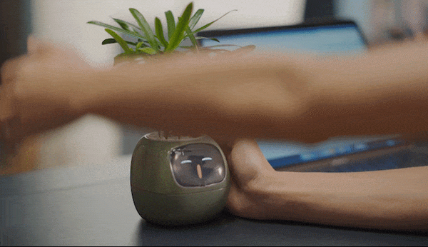 観葉植物がペットに大変身！？植物の気持ちがわかるスマートプランター「Ivy」(アイビー) Makuakeで先行販売開始