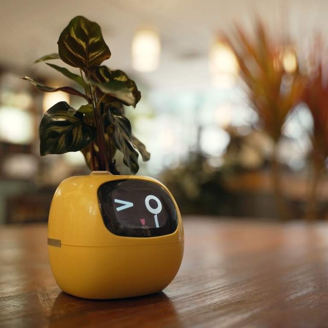 観葉植物がペットに大変身！？植物の気持ちがわかるスマートプランター「Ivy」(アイビー) Makuakeで先行販売開始