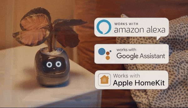 観葉植物がペットに大変身！？植物の気持ちがわかるスマートプランター「Ivy」(アイビー) Makuakeで先行販売開始