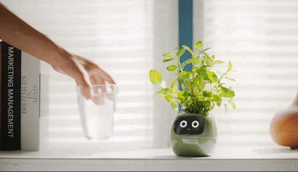 観葉植物がペットに大変身！？植物の気持ちがわかるスマートプランター「Ivy」(アイビー) Makuakeで先行販売開始