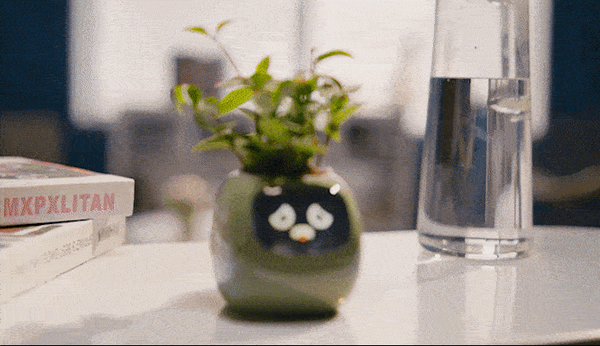 観葉植物がペットに大変身！？植物の気持ちがわかるスマートプランター「Ivy」(アイビー) Makuakeで先行販売開始