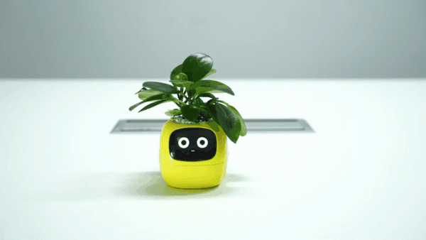 観葉植物がペットに大変身！？植物の気持ちがわかるスマートプランター「Ivy」(アイビー) Makuakeで先行販売開始