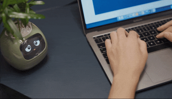 観葉植物がペットに大変身！？植物の気持ちがわかるスマートプランター「Ivy」(アイビー) Makuakeで先行販売開始