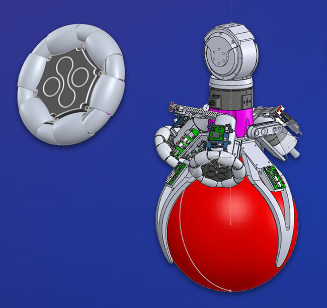 身長123cmのキャラクター・ロボット「Miroki」(ミロキ) 日本でついに初公開　ユニークな特長とポイントを解説　販売目標台数は・・・