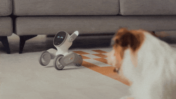 ジェスチャーと発話を理解するロボットペット「Loona」(ルーナ)がMakuakeに日本初登場　1,000を超える感情表現と豊かな表情
