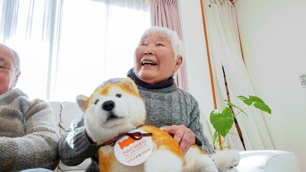 渋谷の忠犬ハチ公生誕100年記念、なでると鳴く「なでなでワンちゃん 秋田犬HACHI EX 」Makuakeで限定100頭の先行販売中
