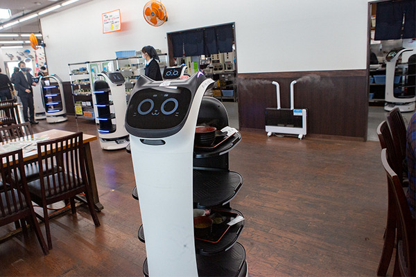 ネコ型配膳ロボット10台が同時フル稼働！ロボット向けに店内を改修した食事処「漁師料理 かなや」での稼働公開　DFA Robotics