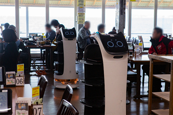 ネコ型配膳ロボット10台が同時フル稼働！ロボット向けに店内を改修した食事処「漁師料理 かなや」での稼働公開　DFA Robotics