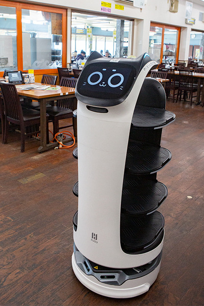 ネコ型配膳ロボット10台が同時フル稼働！ロボット向けに店内を改修した食事処「漁師料理 かなや」での稼働公開　DFA Robotics