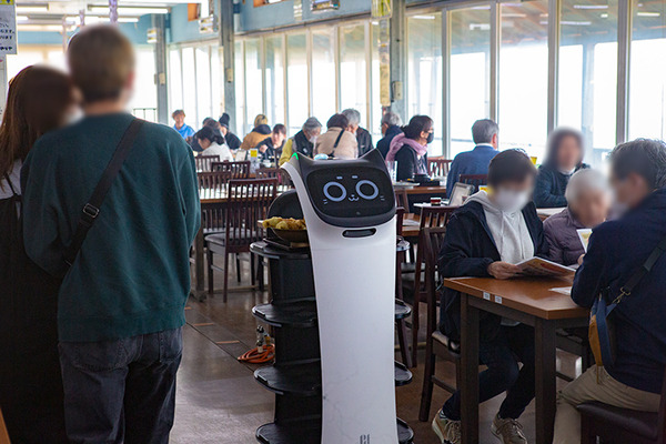 ネコ型配膳ロボット10台が同時フル稼働！ロボット向けに店内を改修した食事処「漁師料理 かなや」での稼働公開　DFA Robotics