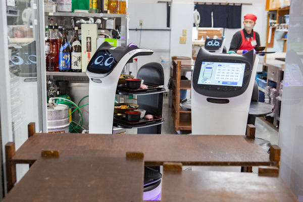 ネコ型配膳ロボット10台が同時フル稼働！ロボット向けに店内を改修した食事処「漁師料理 かなや」での稼働公開　DFA Robotics