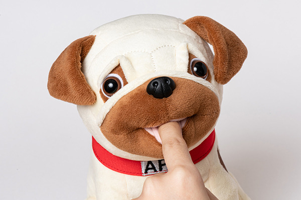 『宇宙兄弟』の愛犬パグ「アポ(APO)」が「甘噛みハムハム」になって発売！著者のアポ愛とこだわりを反映