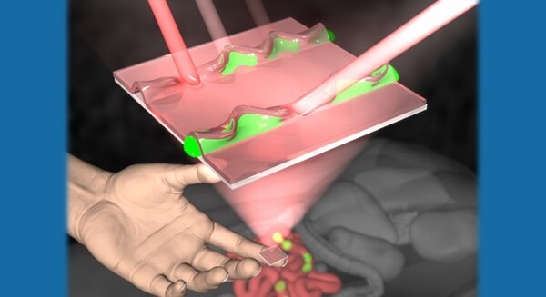 <p>シェア 0 ツイート 0 はてブ 0</p>