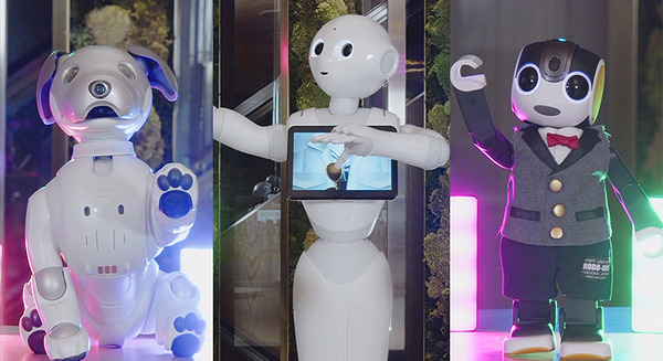 【速報】Pepper、RoBoHoN、aiboが「ロボット業界活性化のために、ロボットがアイドルグループ結成」!? アイボ/ロボホン/ペッパーの公式SNSで発表