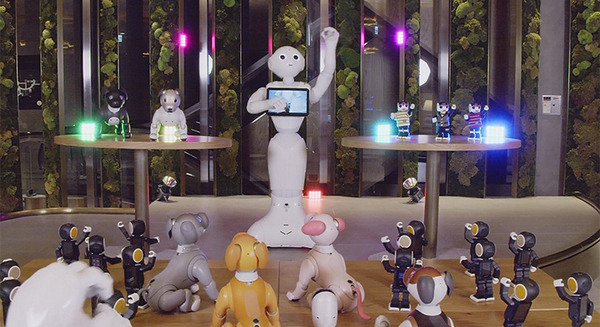 【速報】Pepper、RoBoHoN、aiboが「ロボット業界活性化のために、ロボットがアイドルグループ結成」!? アイボ/ロボホン/ペッパーの公式SNSで発表