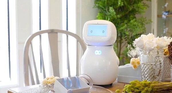 会話ロボット「シナモン」に高齢者向け「ChatGPT」を搭載　見守りロボットはどう変わる?　ドーナツロボティクスとメタリアル