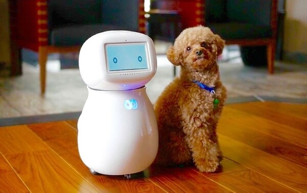 会話ロボット「シナモン」に高齢者向け「ChatGPT」を搭載　見守りロボットはどう変わる?　ドーナツロボティクスとメタリアル