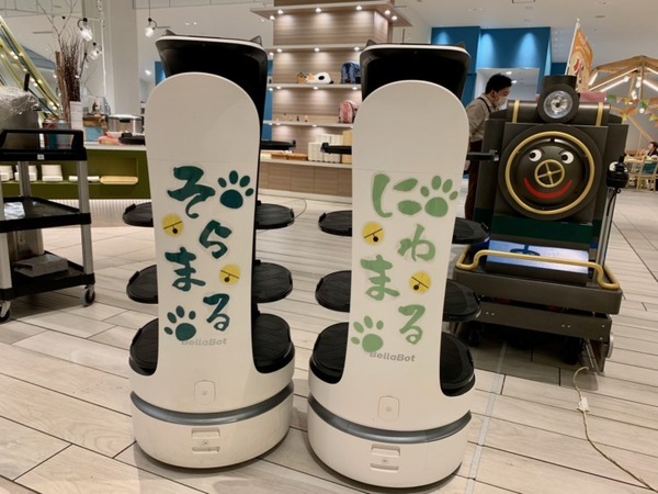 遊園地のようなレストランにキュートなネコ型配膳ロボットのスタッフが仲間入り　北海道 北湯沢温泉・森のソラニワ