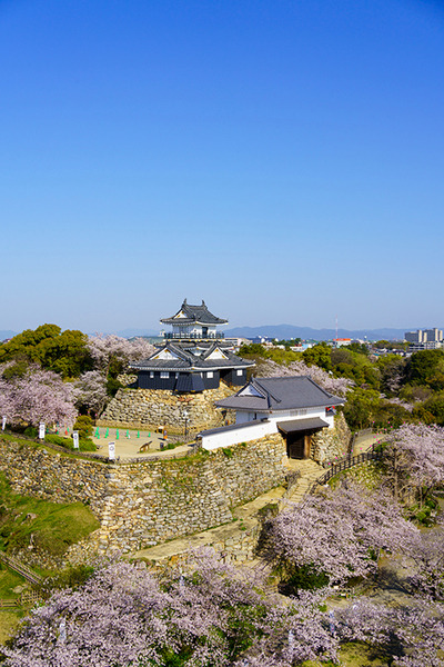 『どうする家康』大河ドラマ館やゆかりの地、XRで戦国時代をリアル体感など、浜松市が見どころを発表