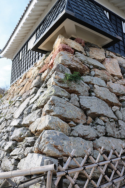 『どうする家康』大河ドラマ館やゆかりの地、XRで戦国時代をリアル体感など、浜松市が見どころを発表