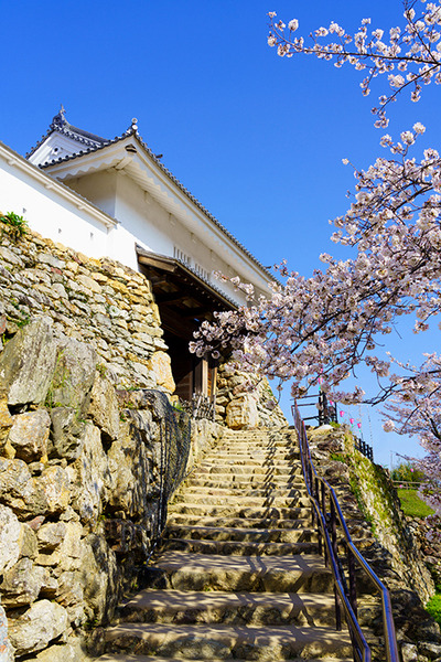 『どうする家康』大河ドラマ館やゆかりの地、XRで戦国時代をリアル体感など、浜松市が見どころを発表