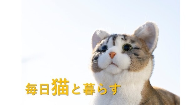 トレンドマスターの猫型ロボット10周年記念「なでなでねこちゃんEXシリーズ」発売　静電センサー搭載、撫でると鳴き声で反応