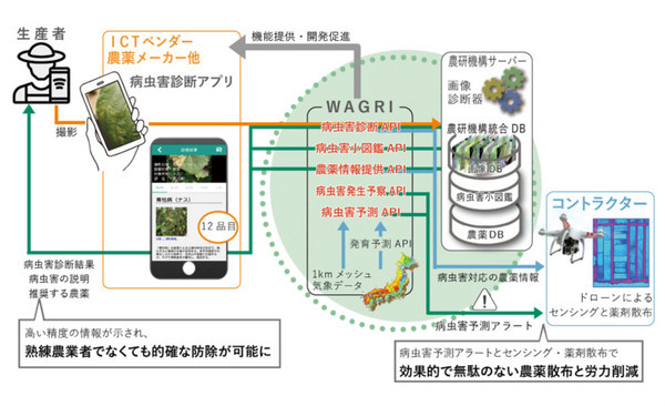 農研機構・NTT東日本・NTTアグリが「遠隔営農支援プロジェクト」で連携　専門家が遠隔からタマネギ栽培の支援
