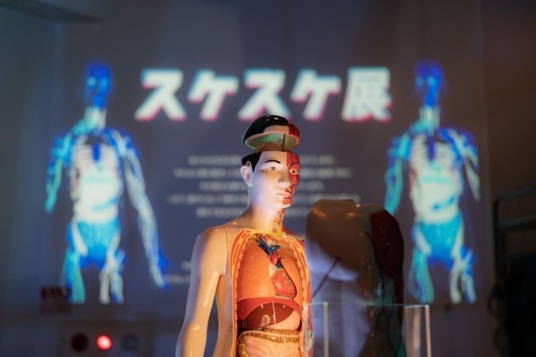 見えない部分を見てみたい『スケスケ展 in TOKYO』開催へ　来場者累計約30万人の話題の展覧会　AIロボットによる案内も