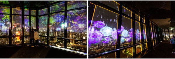 デジタル花火アート続々開催　東京タワー「日本の風景×夜景」、マクセル アクアパーク品川「花火アクアリウム」のマッピングショー　ネイキッド演出