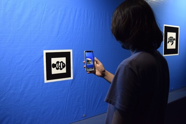 リニューアル工事中のブルーシートの中がスマホをかざすと覗けちゃうよ！グレートバリアリーフをAR技術でチラ見　海遊館