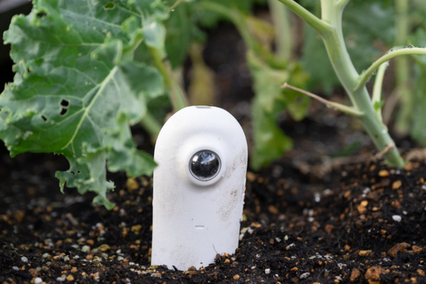 NTT東日本 プランティオ タニタ 都市型スマート農園の開発など「食」と「農」と「健康」の課題解決で協業