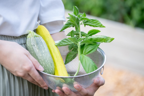 NTT東日本 プランティオ タニタ 都市型スマート農園の開発など「食」と「農」と「健康」の課題解決で協業