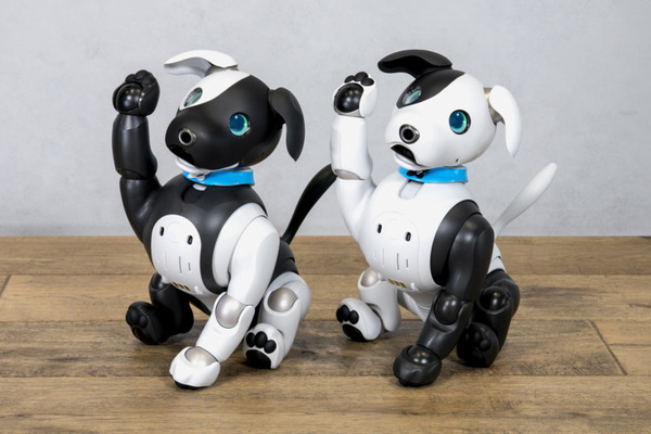 三井住友信託銀行とaiboがコラボ　マスコットキャラ「シンジル＆タクセル」のaiboモデルが全国の支店に登場　aiboオーナー特典も