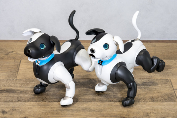 三井住友信託銀行とaiboがコラボ　マスコットキャラ「シンジル＆タクセル」のaiboモデルが全国の支店に登場　aiboオーナー特典も