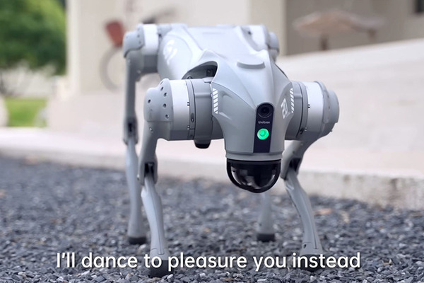 運動性能抜群の家庭用ロボット犬「Unitree Go2」の動画が面白い　ChatGPTやLIDAR搭載　握手、片脚ダンス、後追い、バク宙など披露