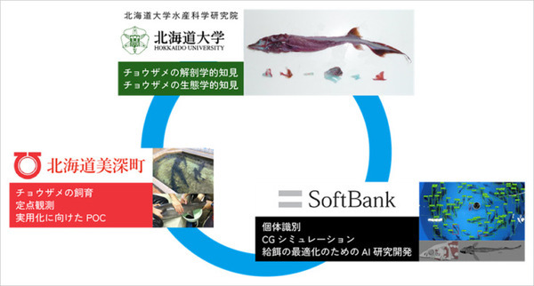 AIやIoT、バイオロジーや3D筋骨格モデルで実践的な優良養殖チョウザメの生育を目指す　スマート養殖の最新技術をソフトバンクに聞く