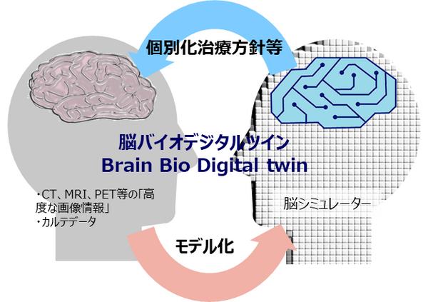 「脳バイオデジタルツイン」の実用化に向けてNTTと国立精神・神経医療研究センターが連携　そのしくみと期待される効果は?
