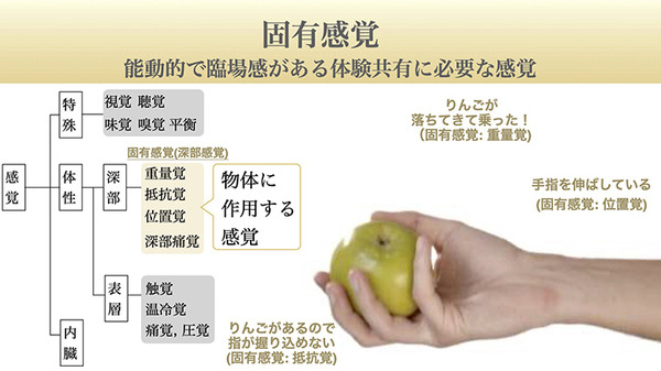 H2L、BodySharing技術を活用した「RaraaS」による遠隔農業ロボットサービス体験会を実施　農福連携を目指す