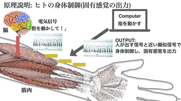 H2L、BodySharing技術を活用した「RaraaS」による遠隔農業ロボットサービス体験会を実施　農福連携を目指す