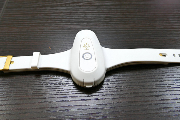 H2L、BodySharing技術を活用した「RaraaS」による遠隔農業ロボットサービス体験会を実施　農福連携を目指す