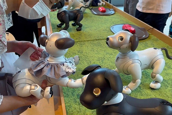 ソニー「手拍子に合わせて踊るaibo」を初公開！ファンや家族連れで大盛況　aiboファンミーティング16参加レポート