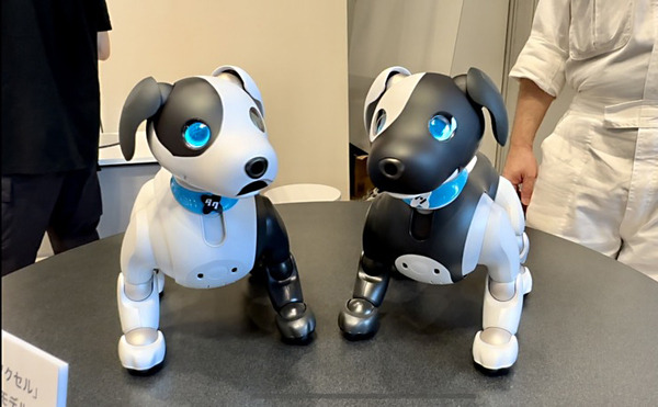 ソニー「手拍子に合わせて踊るaibo」を初公開！ファンや家族連れで大盛況　aiboファンミーティング16参加レポート