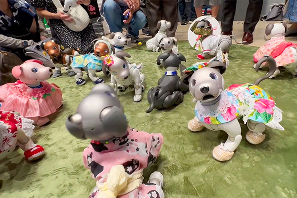 ソニー「手拍子に合わせて踊るaibo」を初公開！ファンや家族連れで大盛況　aiboファンミーティング16参加レポート