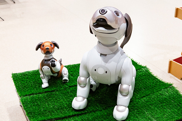 ソニー「手拍子に合わせて踊るaibo」を初公開！ファンや家族連れで大盛況　aiboファンミーティング16参加レポート